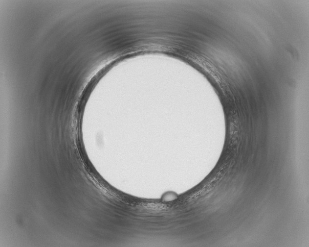 X0000114501119200911301121