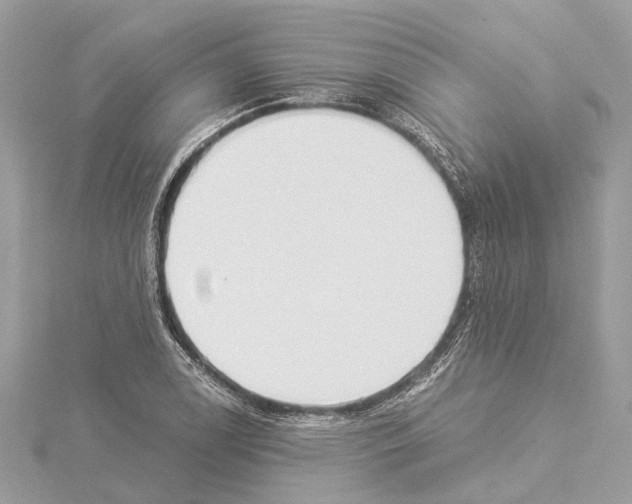 X0000114501122200911301121