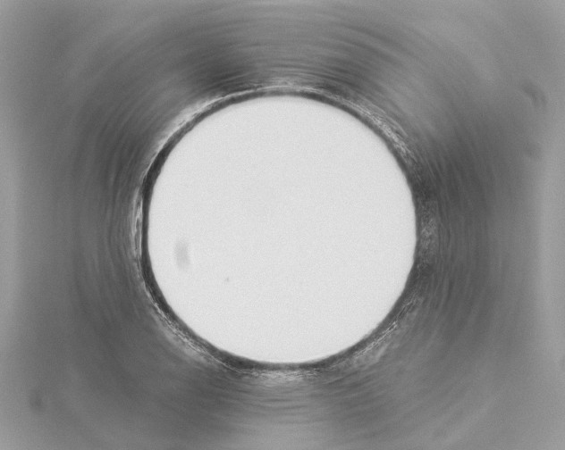 X0000114501126200911301121
