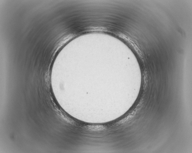 X0000114501129200911301121