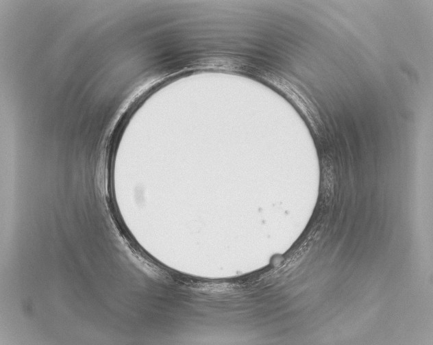 X0000114501131200911301121