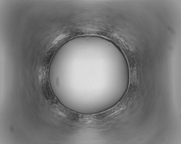 X0000114501157200911301121
