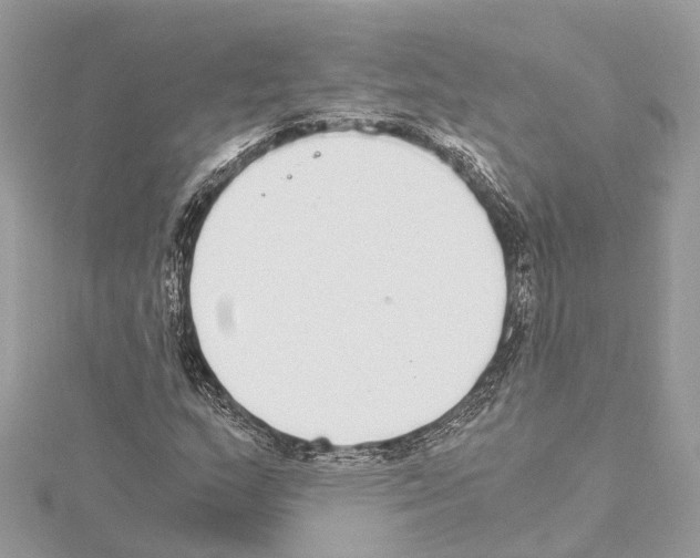 X0000114501159200911301121