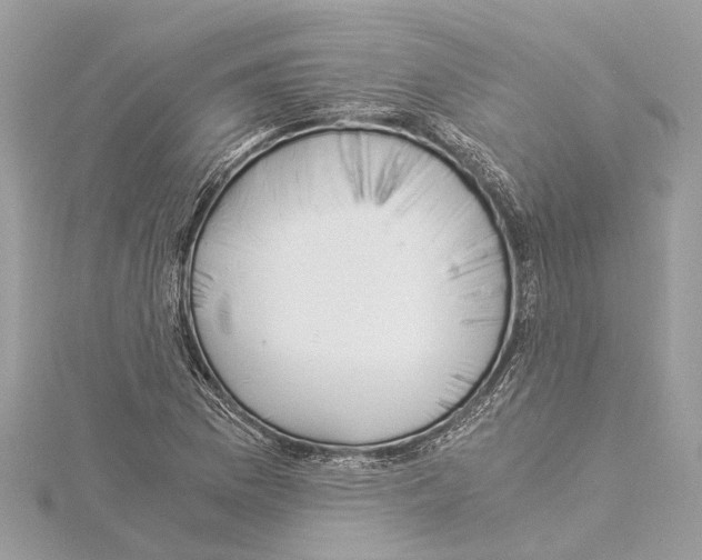 X0000114501169200911301121