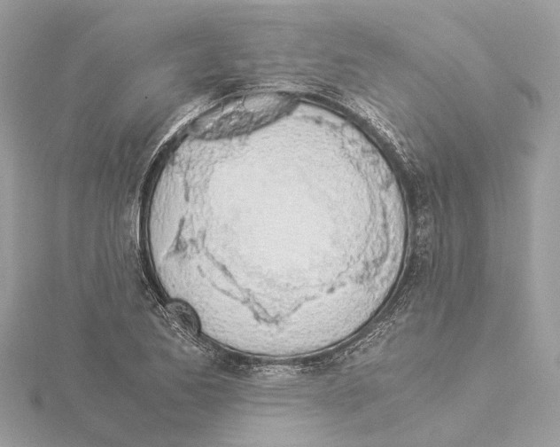 X0000114501173200911301120