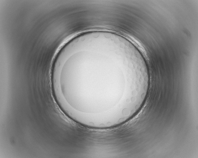 X0000114501192200911301120
