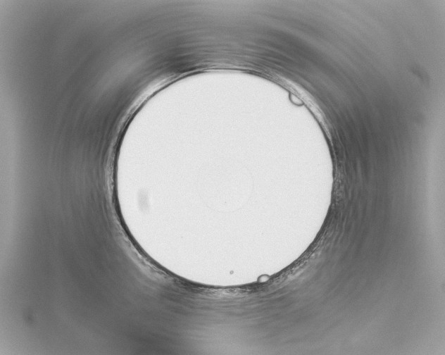 X0000114501195200911301120