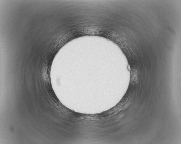 X0000114501202200911301120