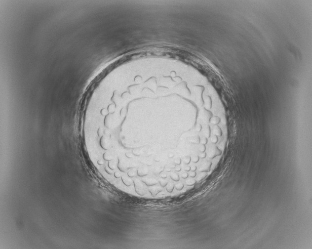 X0000114501216200911301120