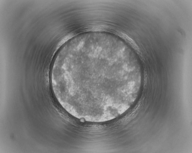 X0000114501226200911301120