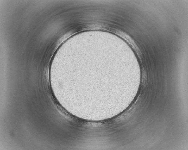 X0000114501242200911301120