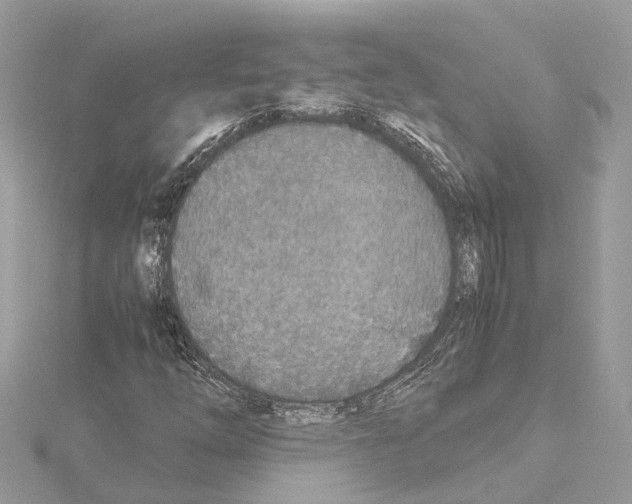 X0000114501254200911301119