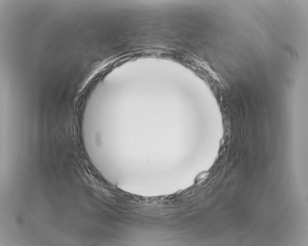 X0000114501256200911301119