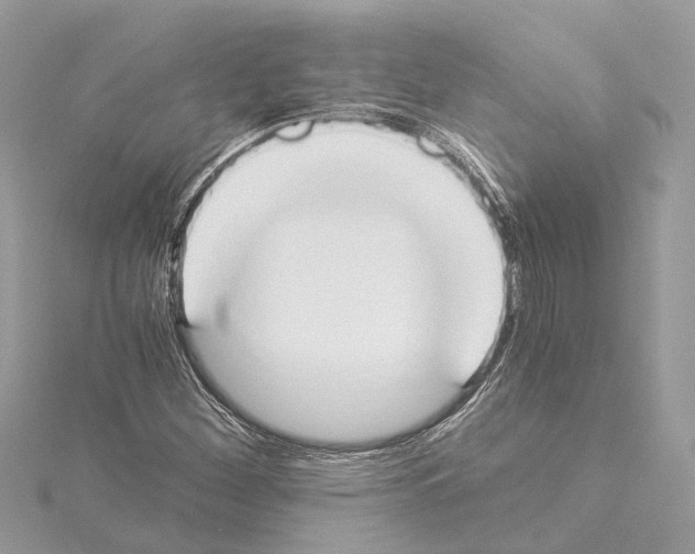 X0000114501260200911301119