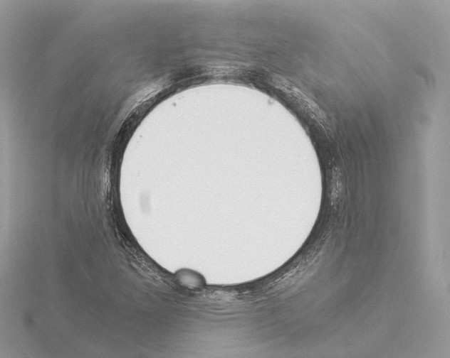 X0000114501261200911301119