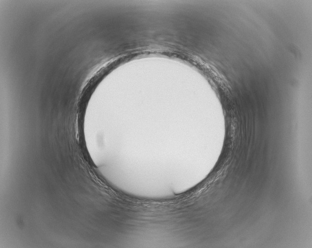 X0000114501262200911301119