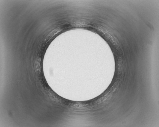 X0000114501265200911301119
