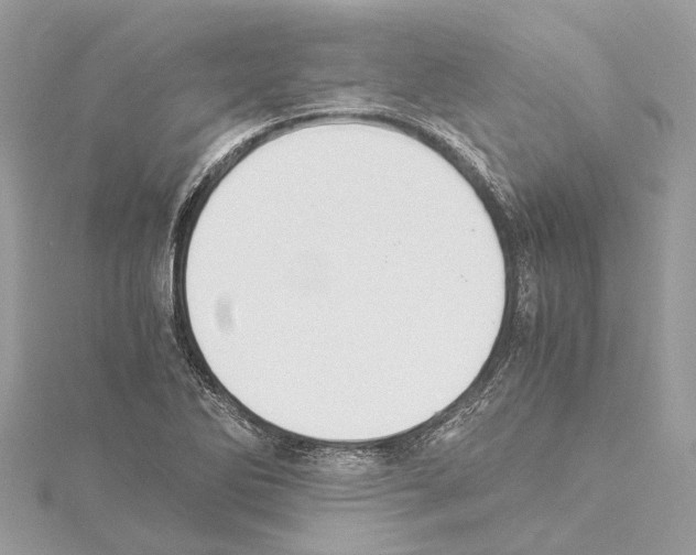 X0000114501270200911301119