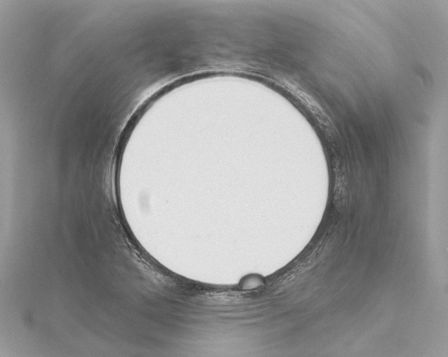X0000114501272200911301119
