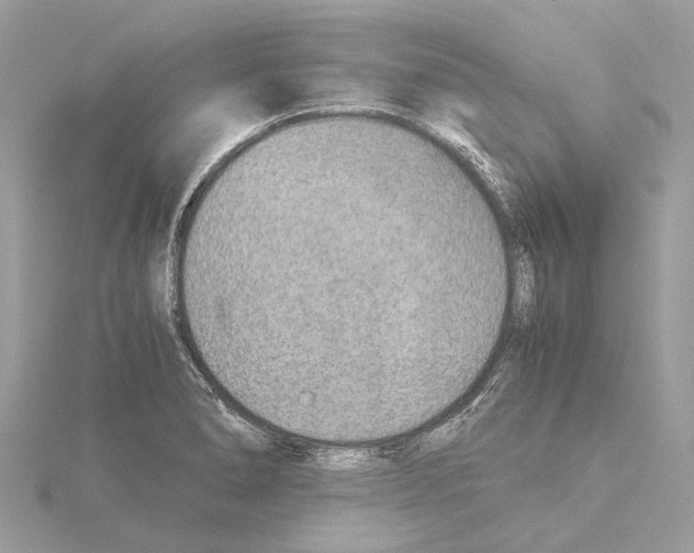X0000114501278200911301119