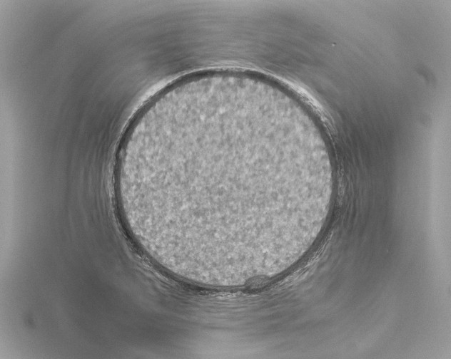 X0000114501279200911301119