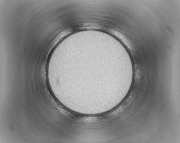 X0000114501282200911301119