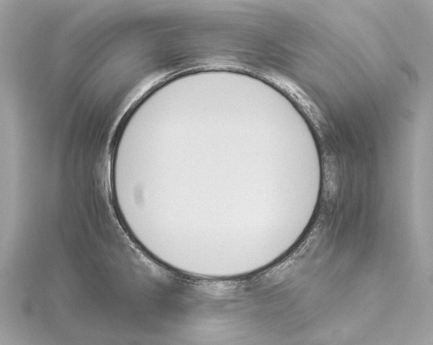X0000114501286200911301119