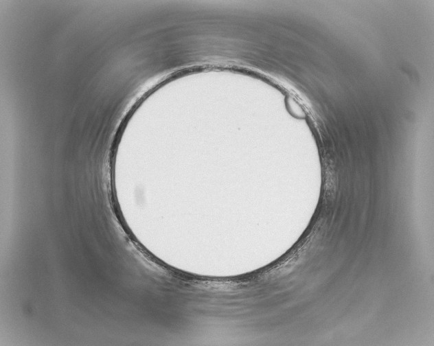X0000114501287200911301119