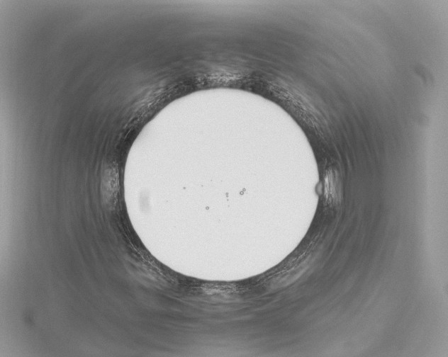X0000114501299200911301118