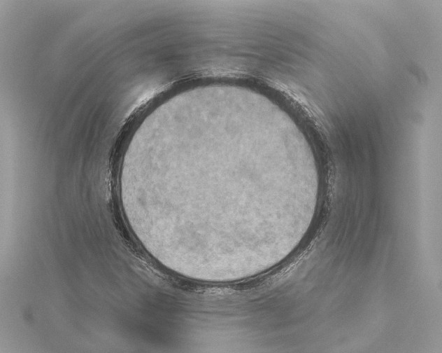 X0000114501306200911301118