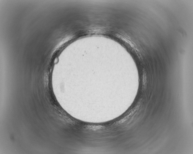 X0000114501309200911301118