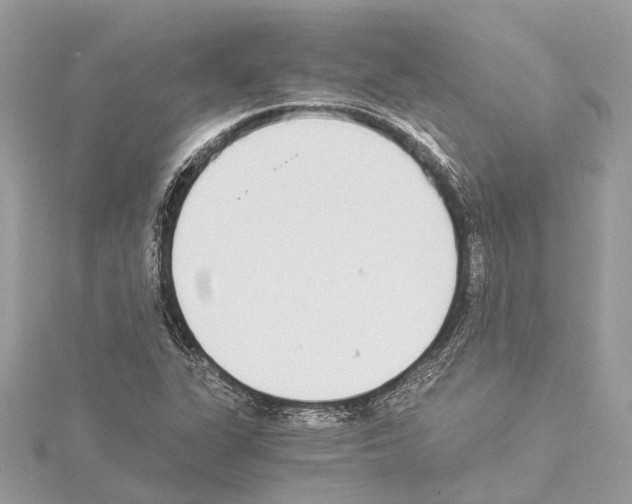 X0000114501311200911301118