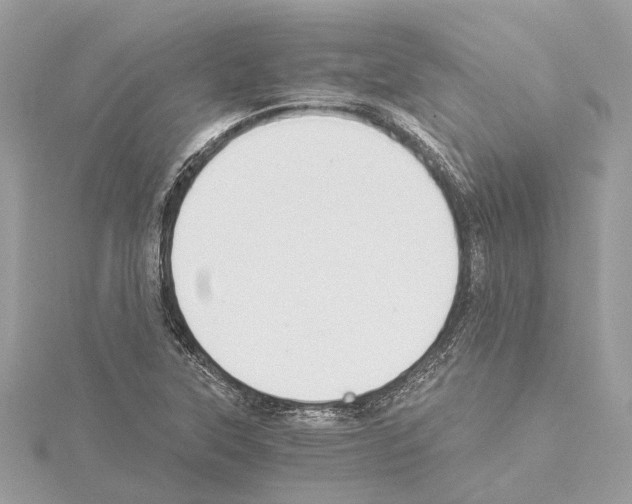 X0000114501315200911301118