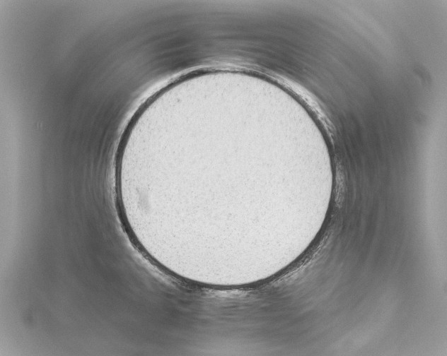 X0000114501335200911301119