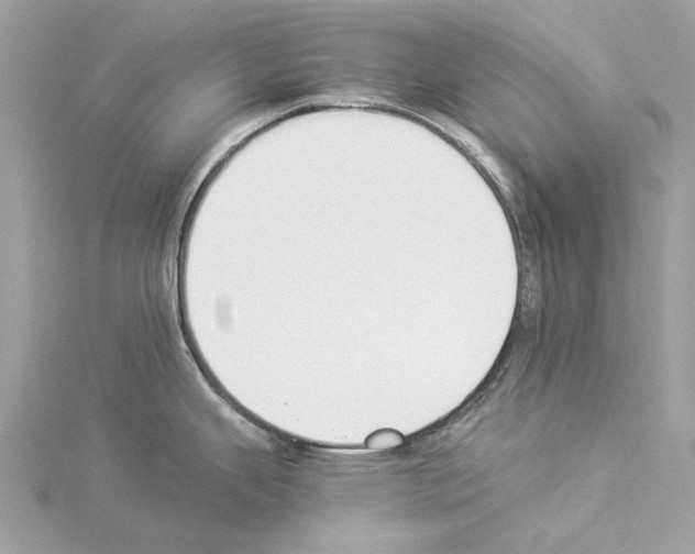 X0000114501343200911301119