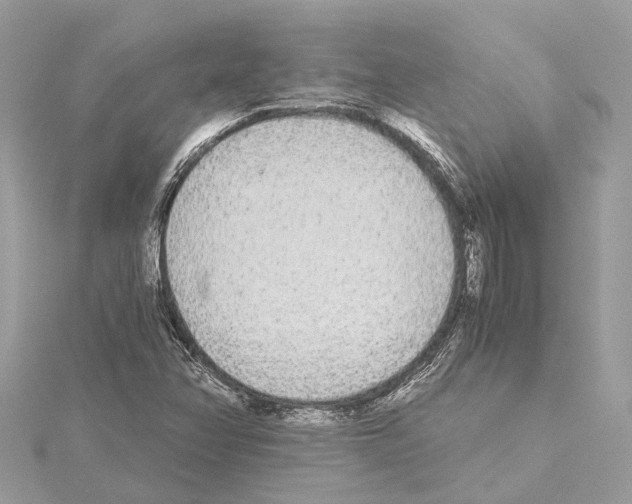 X0000114501358200911301118