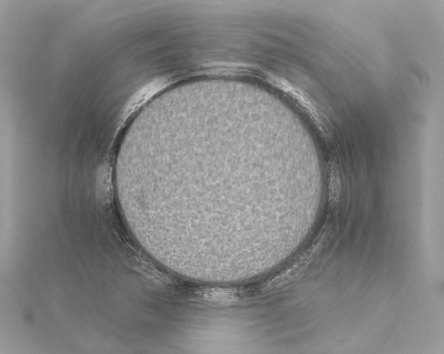 X0000114501362200911301118