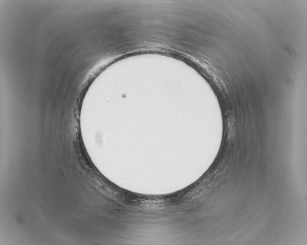 X0000114501363200911301118