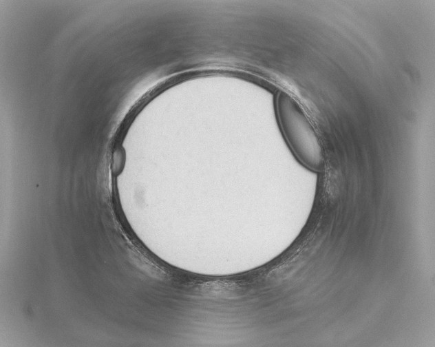 X0000114501368200911301118