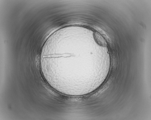 X0000114501369200911301118