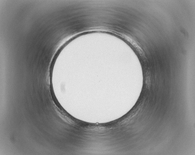 X0000114501372200911301118