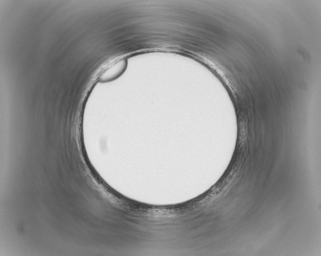 X0000114501379200911301118