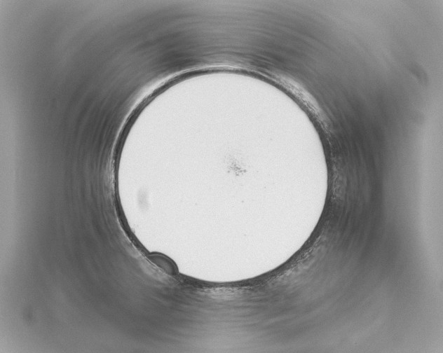 X0000114501380200911301118
