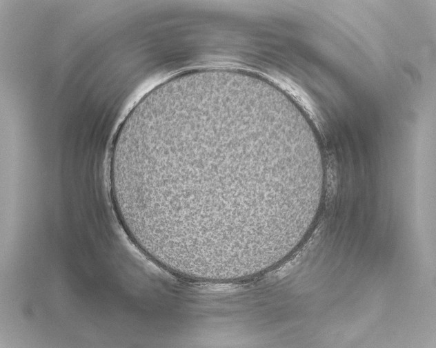 X0000114501382200911301118