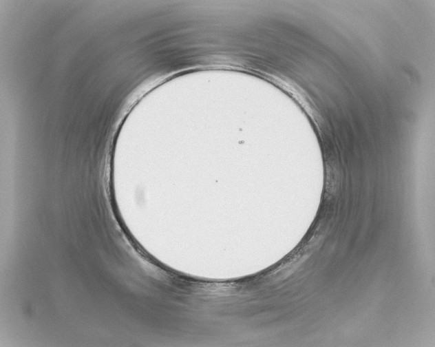 X0000114501387200911301118