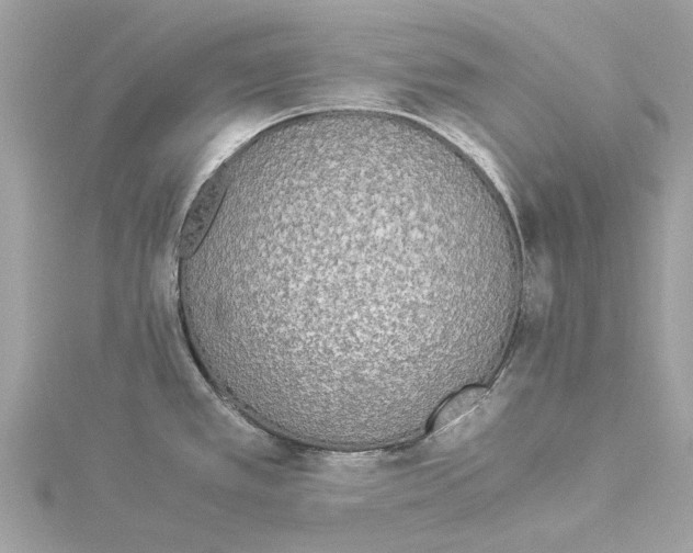 X0000114501389200911301118