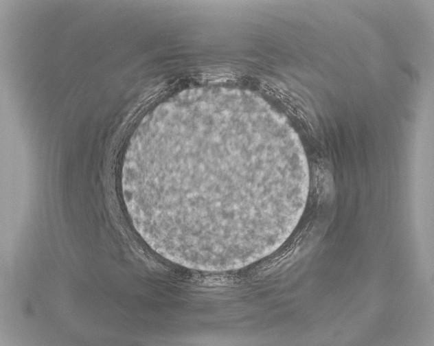 X0000114501393200911301117