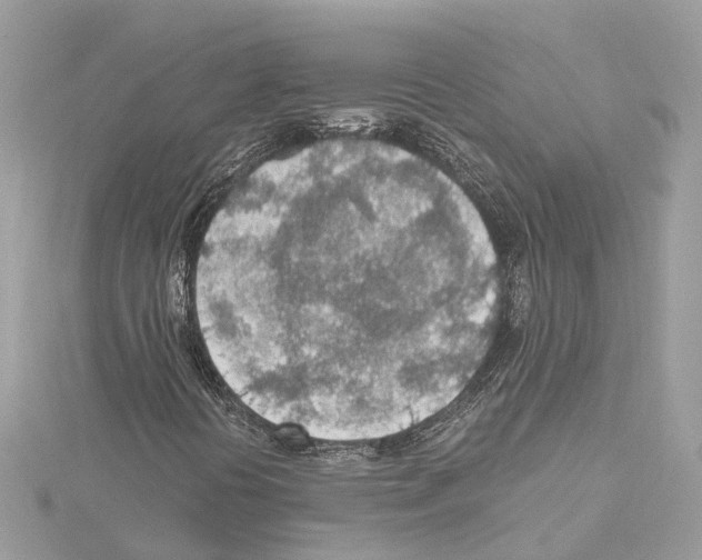 X0000114501394200911301117
