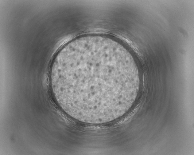 X0000114501405200911301117
