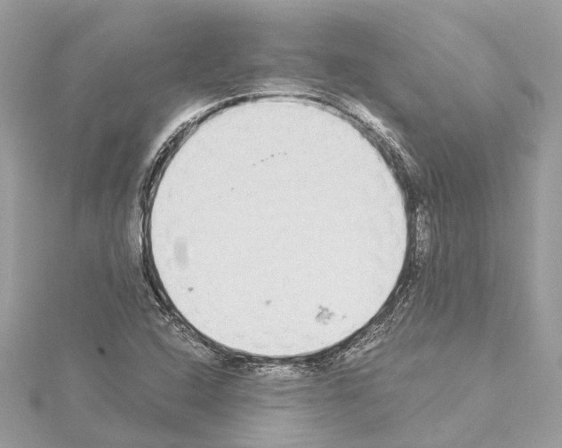 X0000114501408200911301117